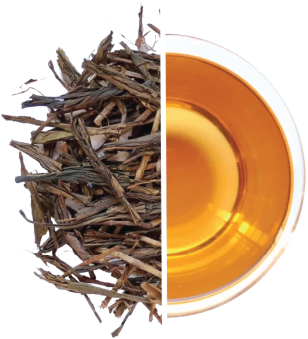 Hojicha