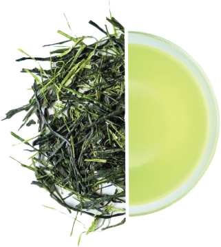 Sencha